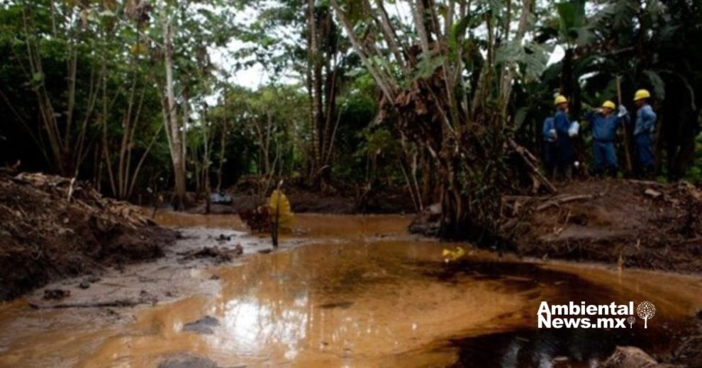 Derrames de petróleo en Ecuador, grave impacto de palma aceitera en derechos humanos, conservación de arrecifes de coral en México y más