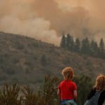 El humo de los incendios forestales puede dañar permanentemente el cerebro y el cuerpo