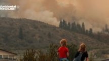 El humo de los incendios forestales puede dañar permanentemente el cerebro y el cuerpo