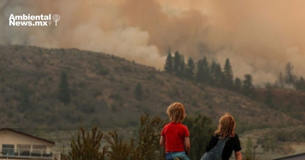 El humo de los incendios forestales puede dañar permanentemente el cerebro y el cuerpo