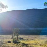 Guanajuato legisla a favor del Medio Ambiente y la salud pública