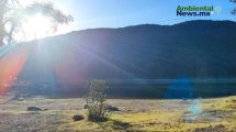 Guanajuato legisla a favor del Medio Ambiente y la salud pública