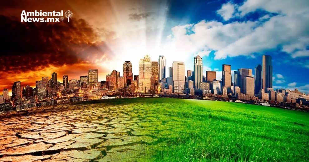 Los organismos no se adaptan lo suficientemente rápido al cambio climático, advierten científicos