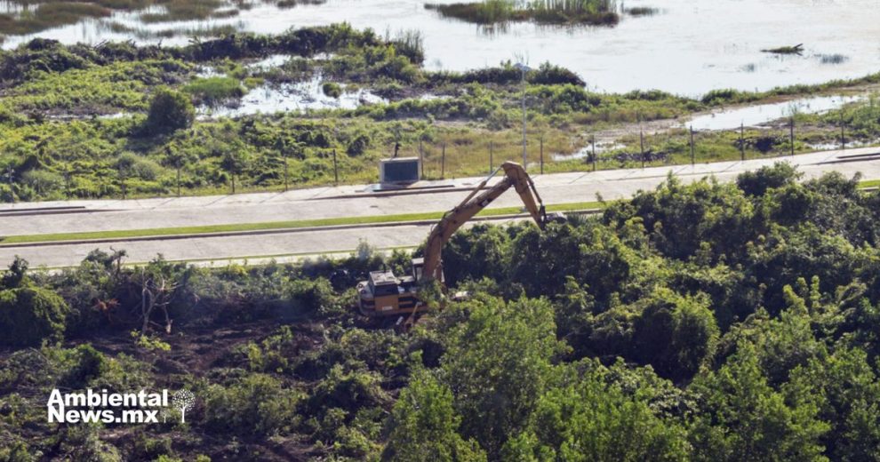 Primeras acciones de la Nueva Era de la Transformación Ambiental de Quintana Roo