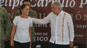 La selva y las tortugas de Tulum, bajo la lupa: AMLO lanza advertencia a Sheinbaum sobre su conservación