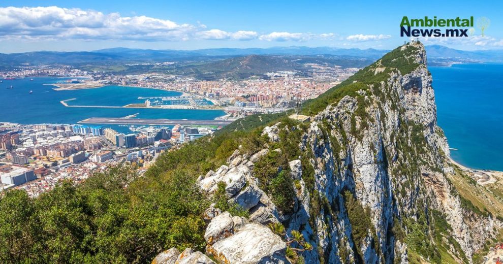 Alerta Ambiental: Ecologistas exigen protección del estrecho ante rellenos y urbanización de Gibralta