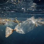 Contaminación por plástico podría extinguir a la humanidad: Capitán Charles Moore