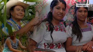 Día de la Mujer Rural: líderes en la lucha contra el cambio climático y la conservación del planeta