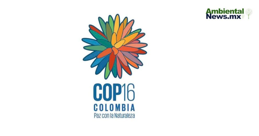 La COP16 ya comenzó