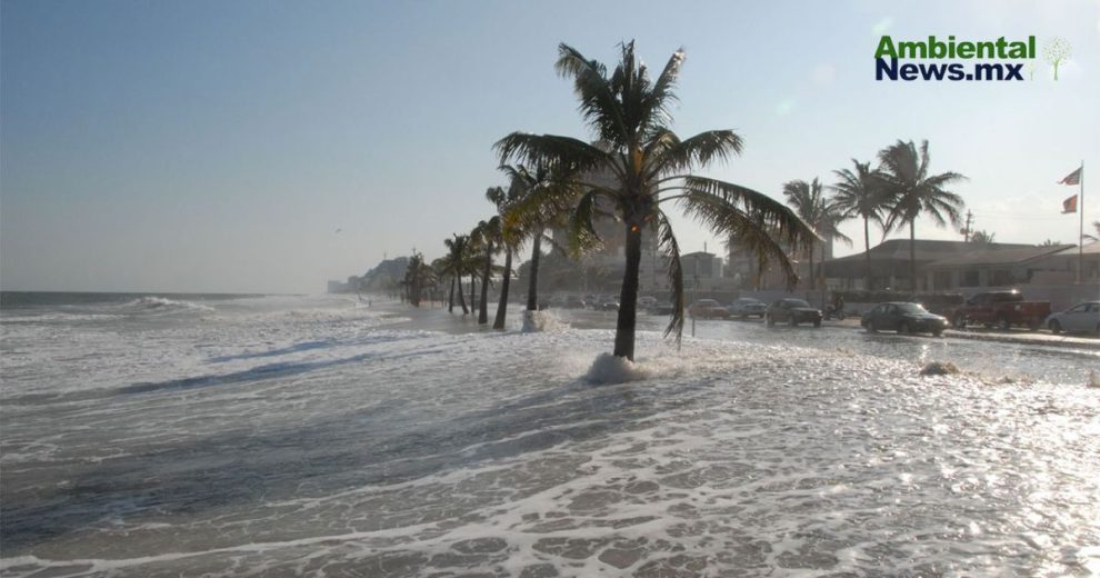 La ONU expone la solución para reducir la subida del nivel del mar