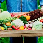 La milpa: el agroecosistema que podría salvar al planeta frente a la comida industrializada