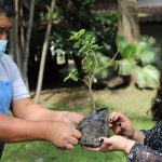 Urgente protección a defensores del medio ambiente ante aumento de violencia