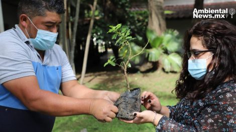 Urgente protección a defensores del medio ambiente ante aumento de violencia