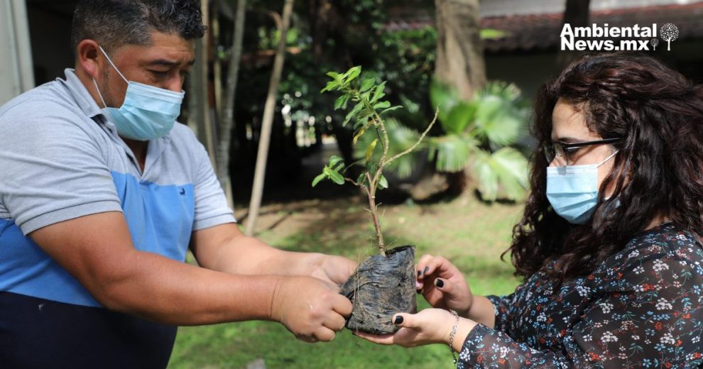 Urgente protección a defensores del medio ambiente ante aumento de violencia