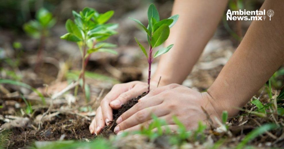 WWF reconoce avances y desafíos ambientales del gobierno de Sheinbaum