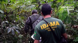 La COP16 y COP29 serán clave para la protección ambiental de Brasil