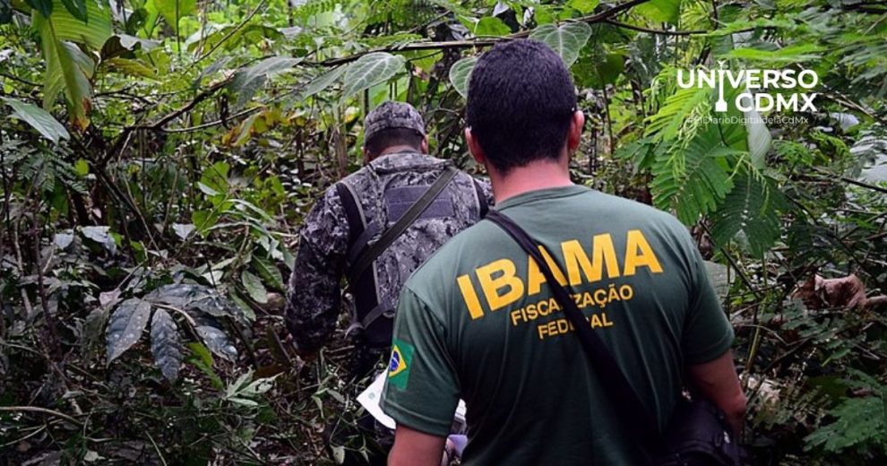 La COP16 y COP29 serán clave para la protección ambiental de Brasil