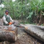 Tlalpan, CDMX, Morelos y Edomex firman convenio para proteger los bosques del Valle de México