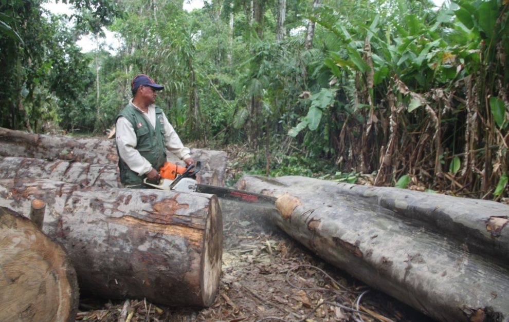 Tlalpan, CDMX, Morelos y Edomex firman convenio para proteger los bosques del Valle de México