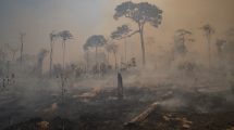 La OMS revela cómo invertir en medidas contra el cambio climático puede salvar millones de vidas