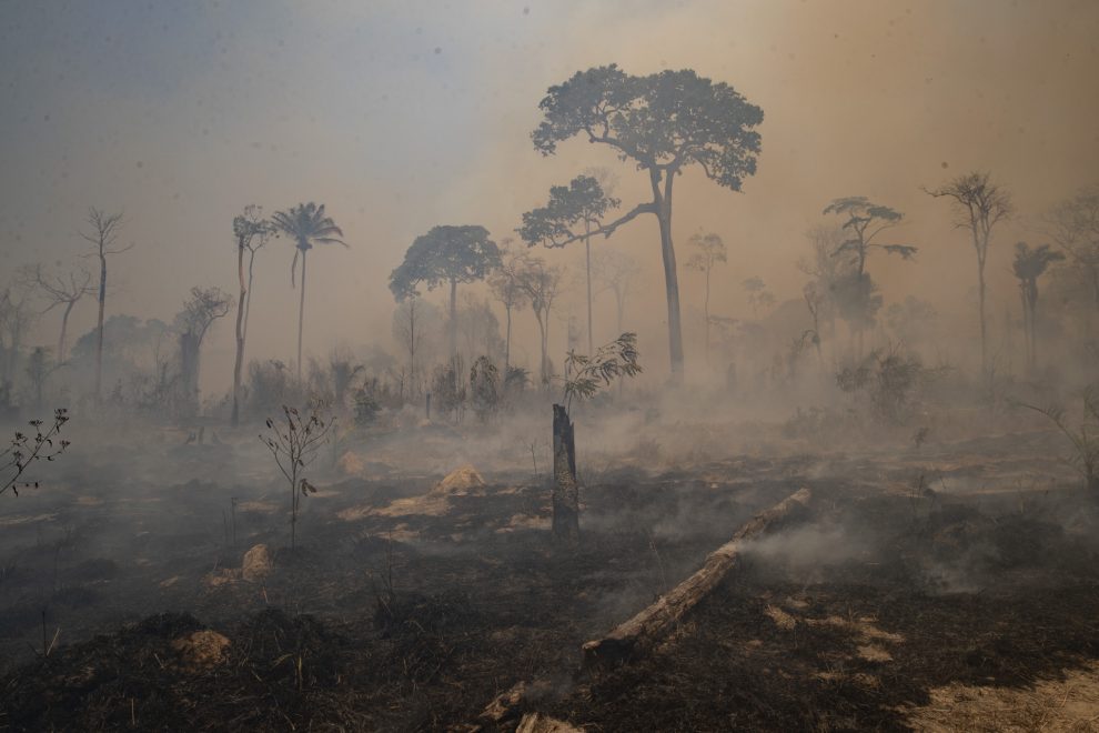 La OMS revela cómo invertir en medidas contra el cambio climático puede salvar millones de vidas