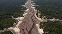 El 2024 va camino a ser el año más cálido de la historia y sus efectos devastan la Amazonía, advierte UNICEF