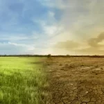 El cambio climático: Causas y consecuencias de una amenaza global