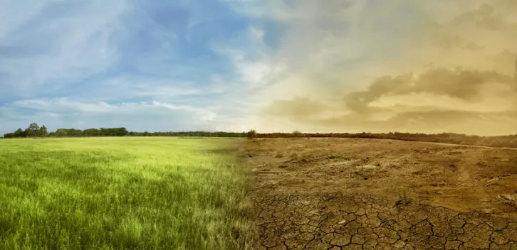 El cambio climático: Causas y consecuencias de una amenaza global