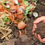 Biosoil: Pionera en la industrialización del compost en Córdoba