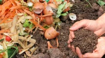 Biosoil: Pionera en la industrialización del compost en Córdoba