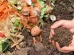 Biosoil: Pionera en la industrialización del compost en Córdoba