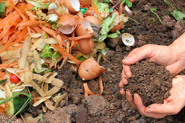 Biosoil: Pionera en la industrialización del compost en Córdoba