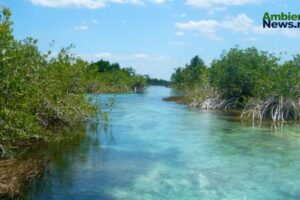 Alicia Bárcena presenta la Estrategia Nacional de Restauración Ambiental en el Senado