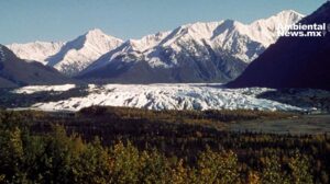 Glaciares en crisis: el cambio climático transforma paisajes emblemáticos en Alaska y el Himalaya