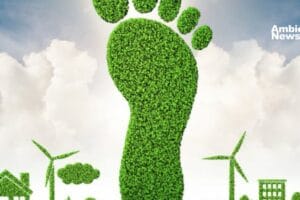 ANW 4 formas de reducir tu huella de carbono y proteger el medio ambiente