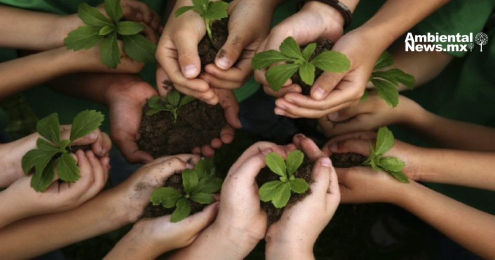 Cuando la comunidad se une, el medio ambiente gana: así fue la jornada de arborización en el Club Muralla 11 Cuando la comunidad se une, el medio ambiente gana: así fue la jornada de arborización en el Club Muralla