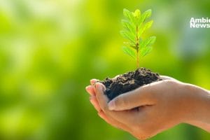 El 2024 marcó un antes y un después en la lucha ambiental