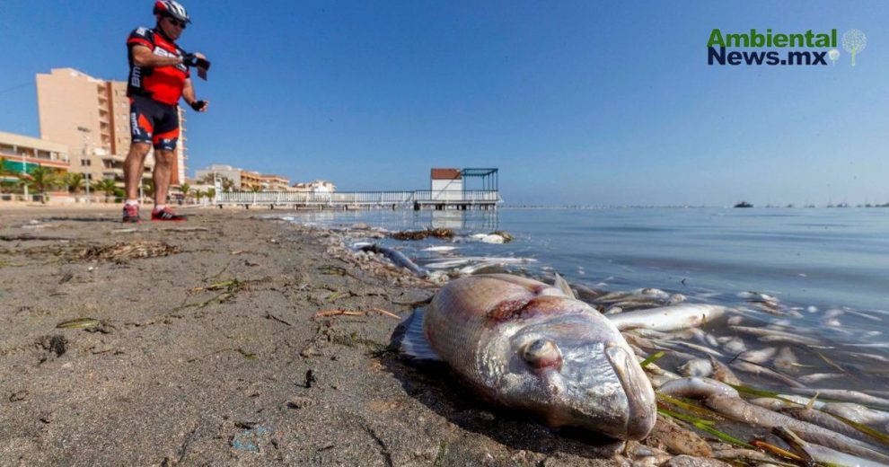 El cambio climático podría hacer que especies de peces desaparezcan más rápido de lo que se cree