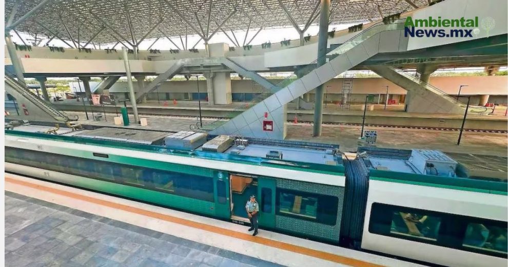 Sedena supervisará impacto hídrico del Tren Maya: monitoreo incluye cenotes y ríos subterráneos 11 Sedena supervisará impacto hídrico del Tren Maya: monitoreo incluye cenotes y ríos subterráneos