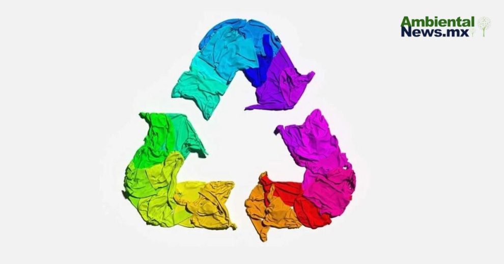 Una amenaza silenciosa para el medio ambiente 11 Una amenaza silenciosa para el medio ambiente