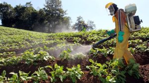 Agroquímicos: La crisis invisible que está dañando nuestro mundo