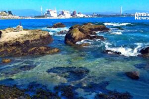 Contaminación en Ventanas: ¿Qué está en juego para el ecosistema?