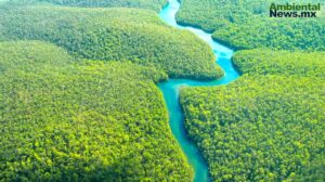 Controversial Ley en Mato Grosso pone en riesgo la protección ambiental