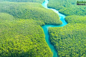 Controversial Ley en Mato Grosso pone en riesgo la protección ambiental