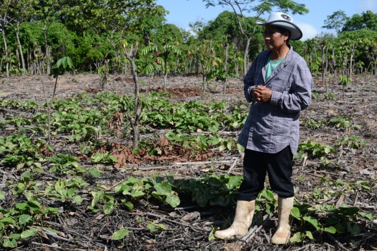 Crisis climática: El riesgo de hambre en México y Centroamérica crece