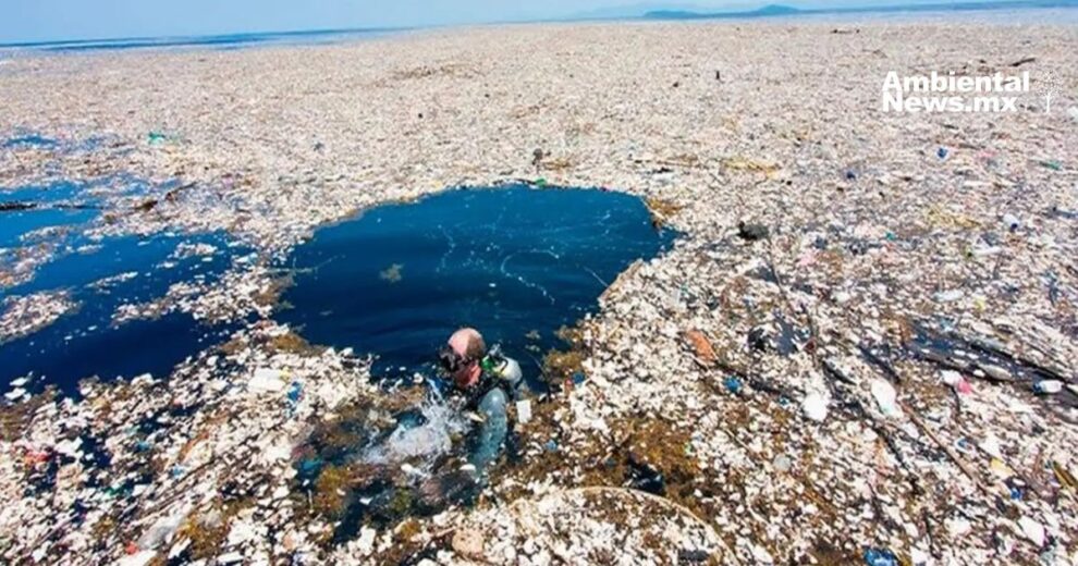 Una amenaza ambiental: La isla de plástico del Pacífico del tamaño de un continente 11 WEB AN