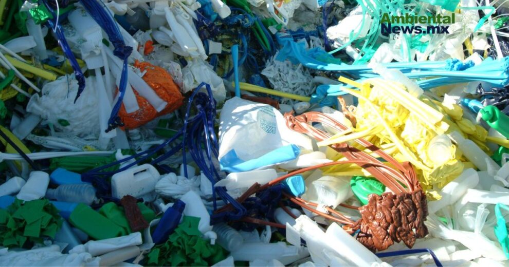 Reciclar: un hábito que beneficia al planeta y tu bolsillo 10 WEB AN 7