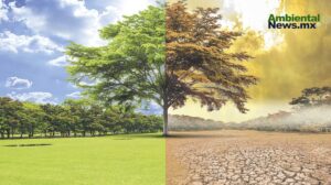 México enfrenta los extremos del clima: huracanes, sequías y calor extremo
