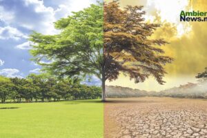 México enfrenta los extremos del clima: huracanes, sequías y calor extremo