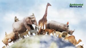 ¿Qué tan inteligentes son los animales? Un viaje por sus sorprendentes capacidades